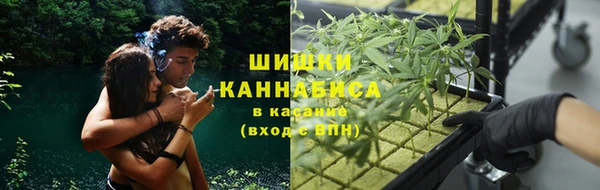 тгк Абинск