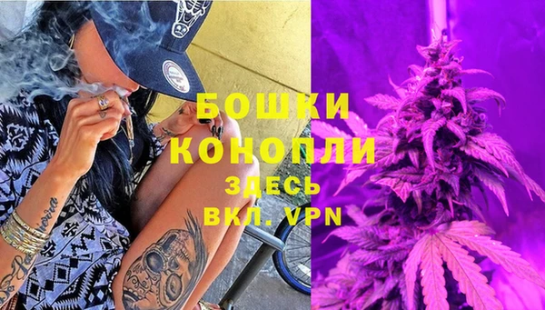 индика Абдулино