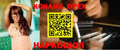 молекула духа Новозыбков