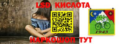 дмт Новокубанск
