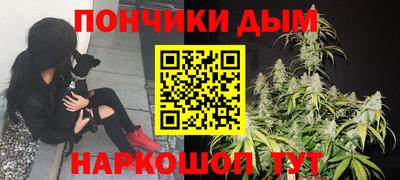 дмт Новокубанск