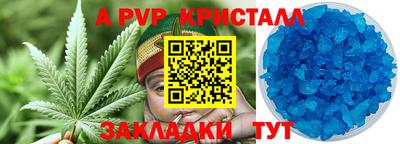 молекула духа Новозыбков