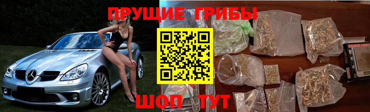 Галлюциногенные грибы прущие грибы  Вход с VPN  Челябинск 